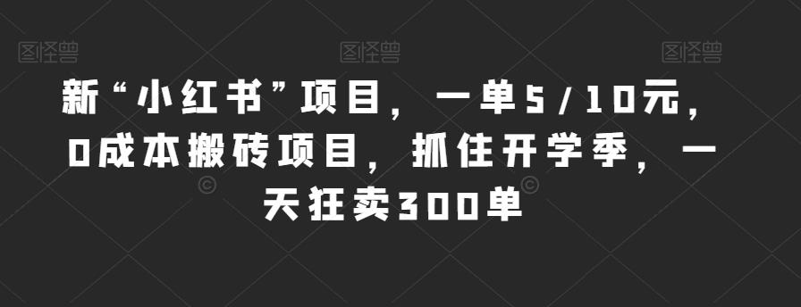 新“小红书”项目，一单5/10元，0成本搬砖项目，抓住开学季，一天狂卖300单【揭秘】-千城资源网