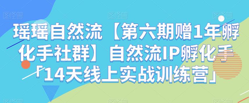 瑶瑶自然流【第六期赠1年孵化手社群】自然流IP孵化手「14天线上实战训练营」-千城资源网