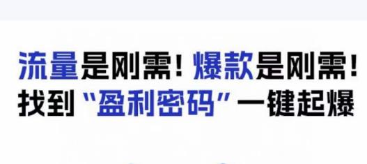 电商盈利精品课：6大盈利密码让产品更好卖，流量是刚需！爆款是刚需！找到”盈利密码”一键起爆-千城资源网