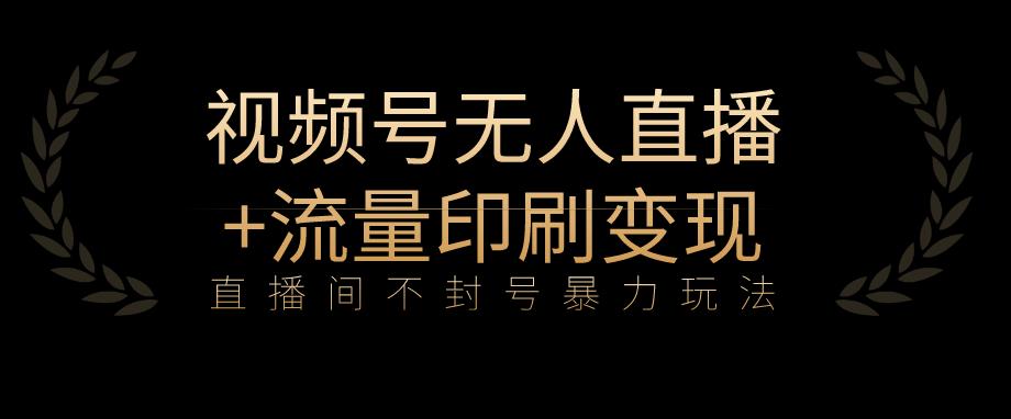 全网首发视频号不封号无人直播暴利玩法+流量印刷机变现，日入1000+【揭秘】-千城资源网