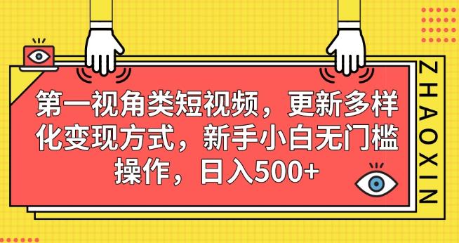 第一视角类短视频，更新多样化变现方式，新手小白无门槛操作，日入500+【揭秘】-千城资源网