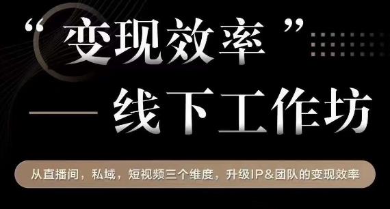 变现效率线下工作坊，从‮播直‬间、私域、‮视短‬频‮个三‬维度，升级IP和团队变现效率-千城资源网