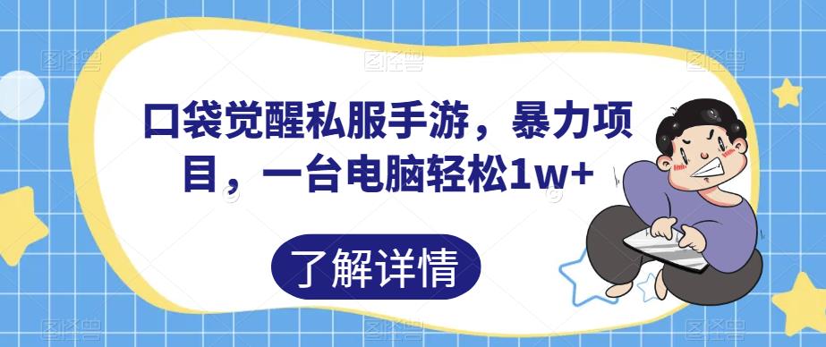 口袋觉醒私服手游，暴力项目，一台电脑轻松1w+【揭秘】-千城资源网
