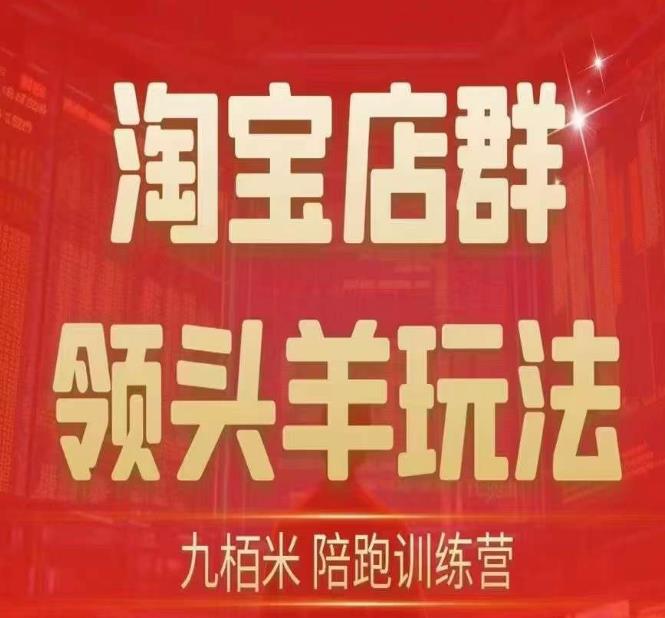 九栢米-淘宝店群领头羊玩法，教你整个淘宝店群领头羊玩法以及精细化/终极蓝海/尾销等内容-千城资源网