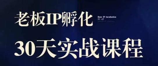 诸葛·2023老板IP实战课，实体同城引流获客，IP孵化必听-千城资源网