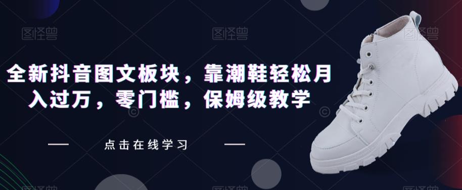 全新抖音图文板块，靠潮鞋轻松月入过万，零门槛，保姆级教学【揭秘】-千城资源网