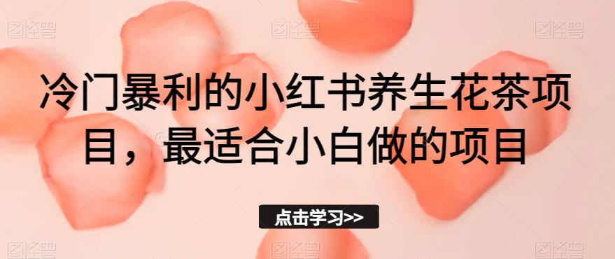 冷门暴利的小红书养生花茶项目，最适合小白做的项目【揭秘】-千城资源网