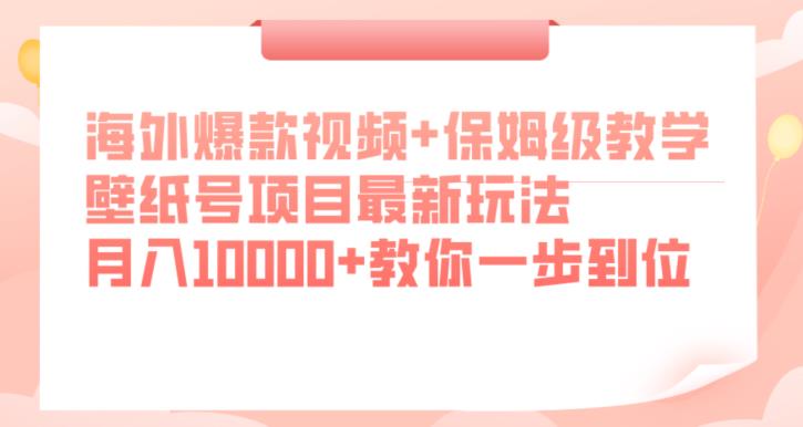 海外爆款视频+保姆级教学，壁纸号项目最新玩法，月入10000+教你一步到位【揭秘】-千城资源网