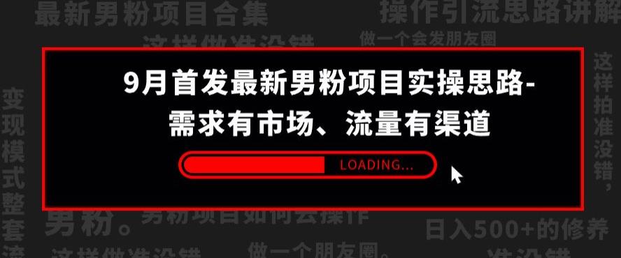 9月首发最新男粉项目实操思路-需求有市场，流量有渠道【揭秘】-千城资源网