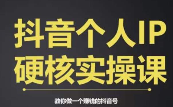 个人IP创富系统实战课，商业定位，流量打造，短视频变现，教你做个赚钱的抖音号-千城资源网