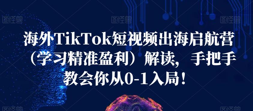 海外TikTok短视频出海启航营（学习精准盈利）解读，手把手教会你从0-1入局！-千城资源网