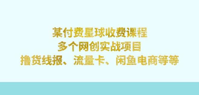 某付费星球课程：多个网创实战项目，撸货线报、流量卡、闲鱼电商等（文档非视频）-千城资源网