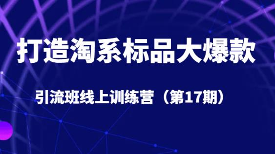 打造淘系标品大爆款引流班线上训练营（第17期）5天直播授课-千城资源网