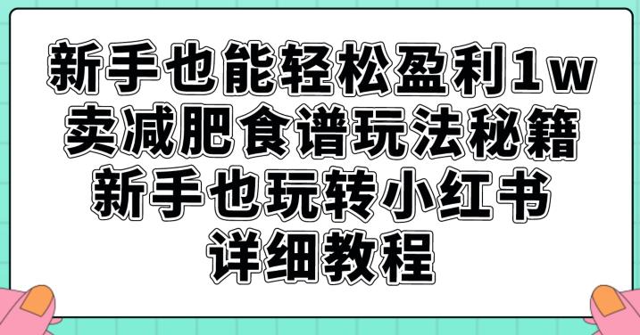 新手也能轻松盈利1w，卖减肥食谱玩法秘籍，新手也玩转小红书详细教程【揭秘】-千城资源网