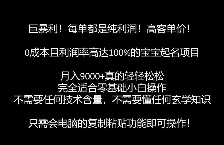 巨暴利，月入9000+的宝宝起名项目，每单都是纯利润，零基础都能躺赚【附软件+视频教程】-千城资源网