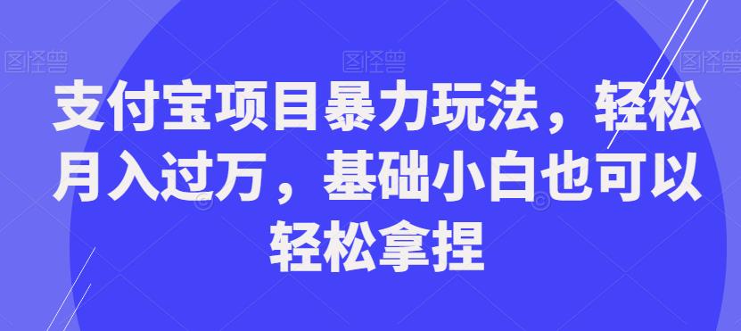 支付宝项目暴力玩法，轻松月入过万，基础小白也可以轻松拿捏【揭秘】-千城资源网