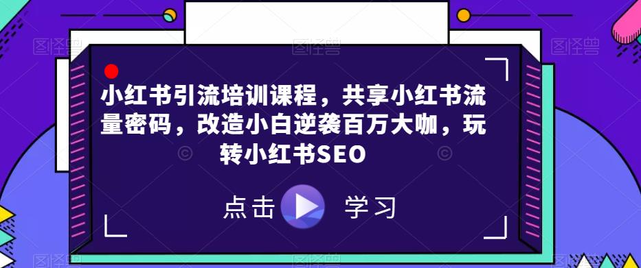 小红书引流培训课程，共享小红书流量密码，改造小白逆袭百万大咖，玩转小红书SEO-千城资源网