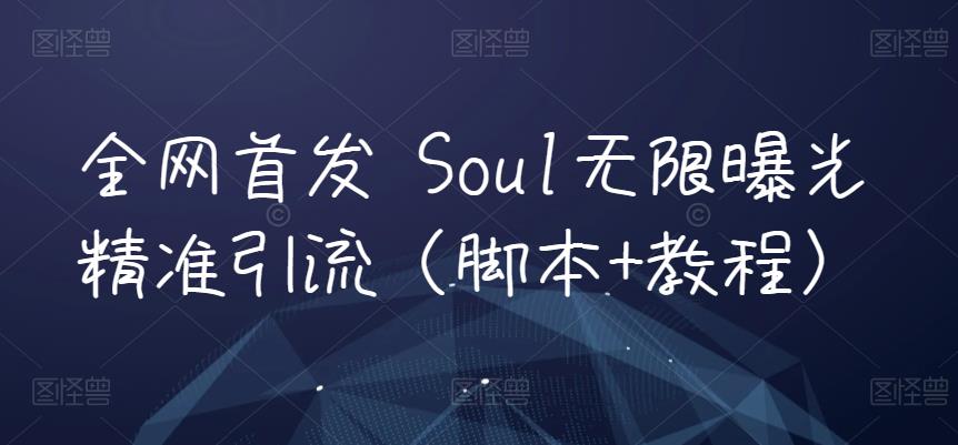 全网首发 Soul无限曝光精准引流（脚本+教程）-千城资源网