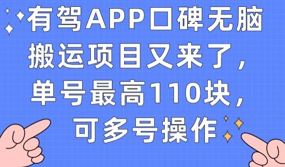 有驾APP口碑无脑搬运项目又来了，单号最高110块，可多号操作-千城资源网