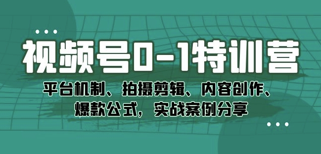 视频号0-1特训营：平台机制、拍摄剪辑、内容创作、爆款公式，实战案例分享-千城资源网