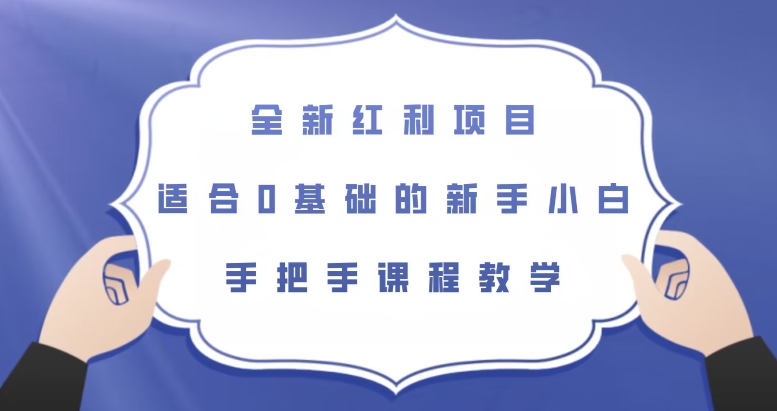 全新红利项目，适合0基础的新手小白，手把手课程教学【揭秘】-千城资源网
