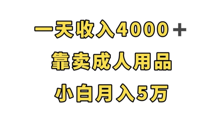 一天收入4000+，靠卖成人用品，小白轻松月入5万【揭秘】-千城资源网