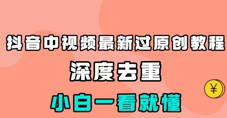 抖音中视频最新过原创教程，深度去重，小白一看就懂【揭秘】-千城资源网
