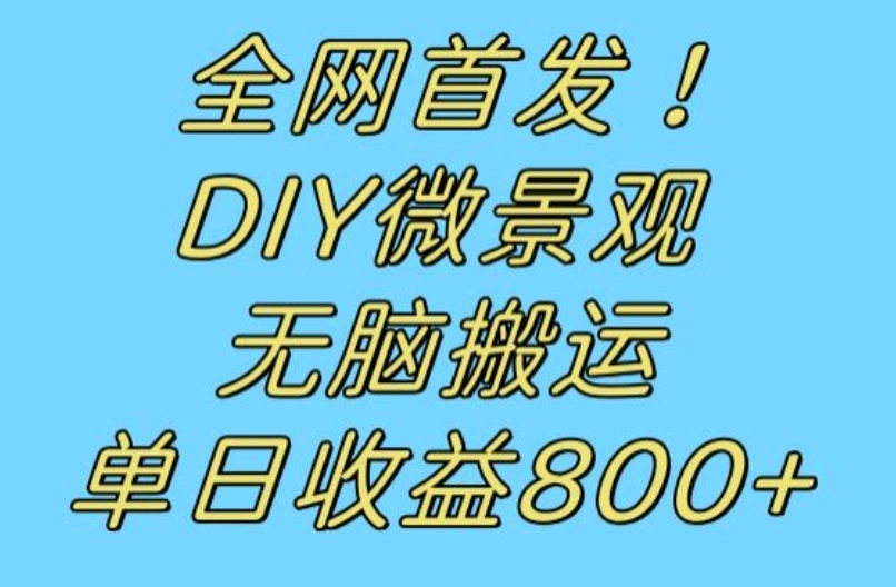 全网首发冷门赛道！DIY微景观，无脑搬运视频，日收益800+【揭秘】-千城资源网