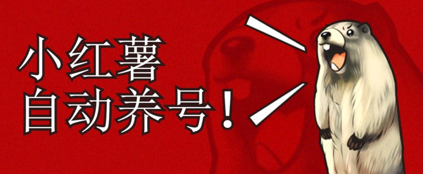 小红书养号秘籍，如何自动涨粉清晰系统标签打造高权重账号【揭秘】-千城资源网