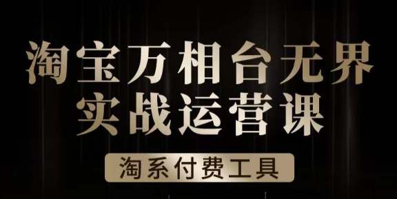 沧海·淘系万相台无界实战运营课，万相台无界实操全案例解析-千城资源网