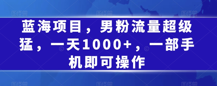 蓝海项目，男粉流量超级猛，一天1000+，一部手机即可操作【揭秘】-千城资源网