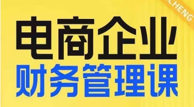电商企业财务管理线上课，为电商企业规划财税-千城资源网