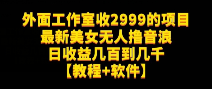 外面工作室收2999的项目最新美女无人撸音浪日收益几百到几千【教程+软件】（仅揭秘）-千城资源网