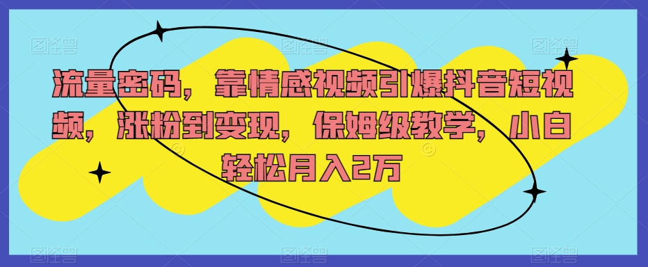 流量密码，靠情感视频引爆抖音短视频，涨粉到变现，保姆级教学，小白轻松月入2万【揭秘】-千城资源网