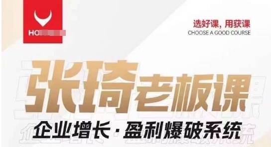 【组合课】张琦张琦老板企业增长·盈利爆破系统（直播专享）-千城资源网