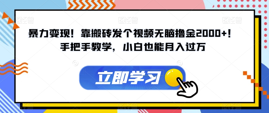 暴力变现！靠搬砖发个视频无脑撸金2000+！手把手教学，小白也能月入过万【揭秘】-千城资源网