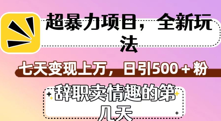 超暴利项目，全新玩法（辞职卖情趣的第几天），七天变现上万，日引500+粉【揭秘】-千城资源网
