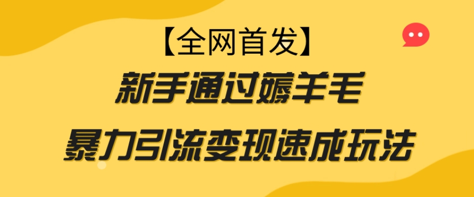 【全网首发】新手通过薅羊毛暴力引流变现速成玩法-千城资源网