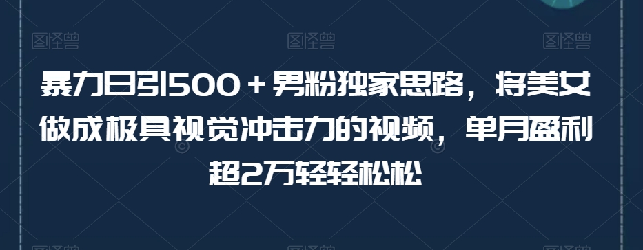 暴力日引500＋男粉独家思路，将美女做成极具视觉冲击力的视频，单月盈利超2万轻轻松松-千城资源网
