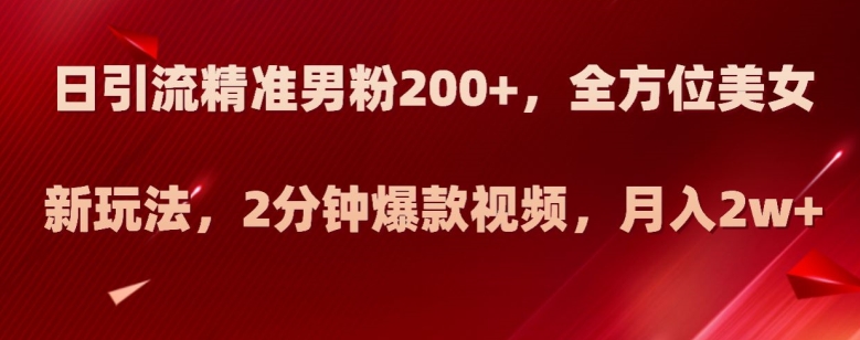 日引流精准男粉200+，全方位美女新玩法，2分钟爆款视频，月入2w+【揭秘】-千城资源网