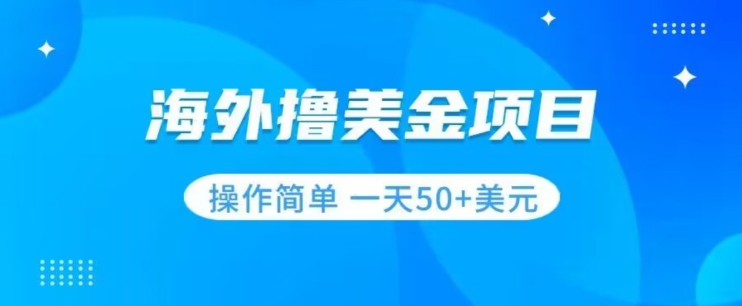 撸美金项目无门槛操作简单小白一天50+美刀-千城资源网