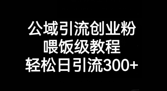公域引流创业粉，喂饭级教程，轻松日引流300+【揭秘】-千城资源网