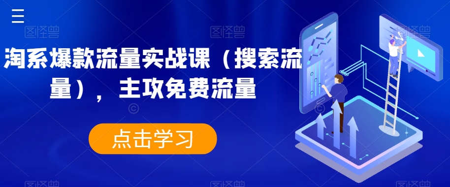 淘系爆款流量实战课（搜索流量），主攻免费流量-千城资源网
