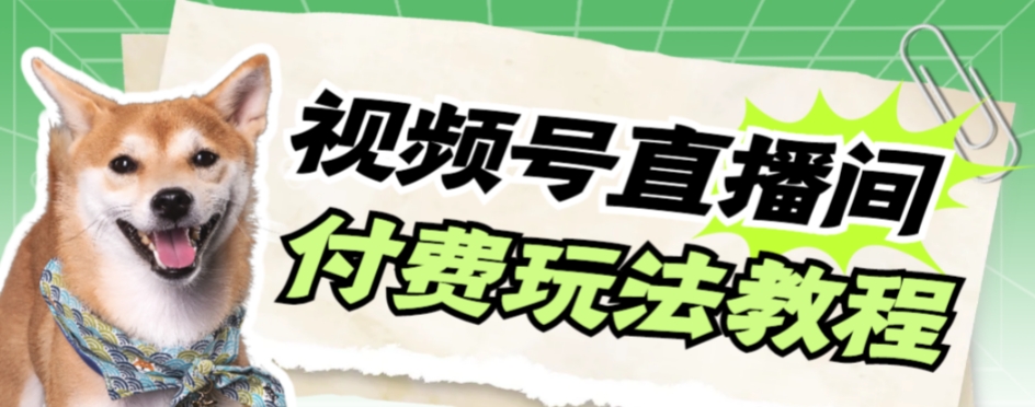 视频号美女付费无人直播，轻松日入500+【详细玩法教程】-千城资源网