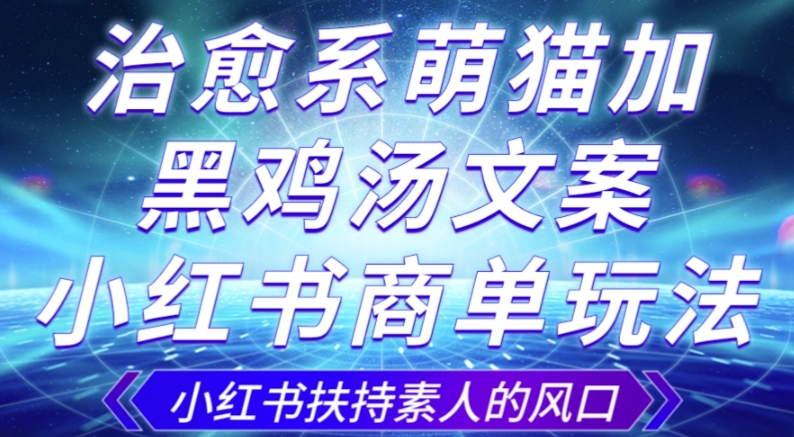 治愈系萌猫加+黑鸡汤文案，小红书商单玩法，3~10天涨到1000粉，一单200左右-千城资源网