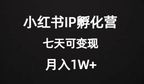 价值2000+的小红书IP孵化营项目，超级大蓝海，七天即可开始变现，稳定月入1W+-千城资源网