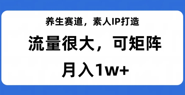 养生赛道，素人IP打造，流量很大，可矩阵，月入1w+【揭秘】-千城资源网