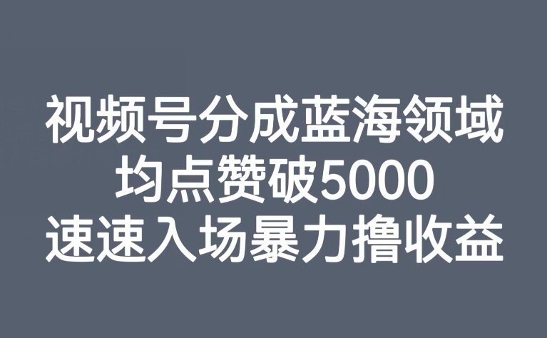 视频号分成蓝海领域，均点赞破5000，速速入场暴力撸收益-千城资源网