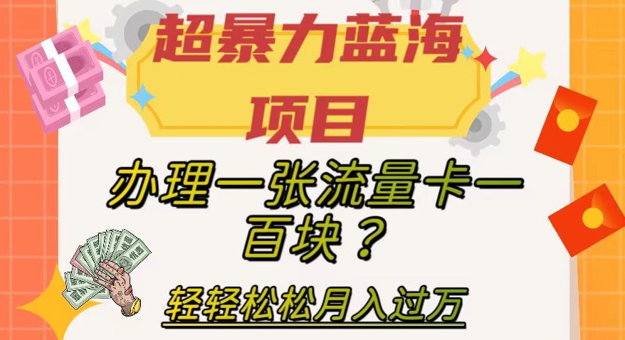 超暴力蓝海项目，办理一张流量卡一百块？轻轻松松月入过万，保姆级教程【揭秘】-千城资源网
