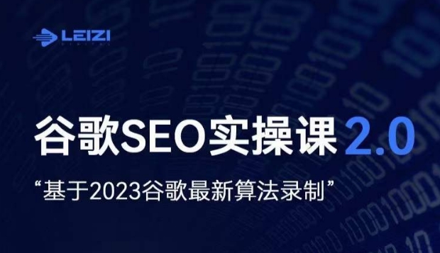 雷子·谷歌SEO 2.0实战课，独立站询盘自由必备，基于2023谷歌最新算法录制-千城资源网